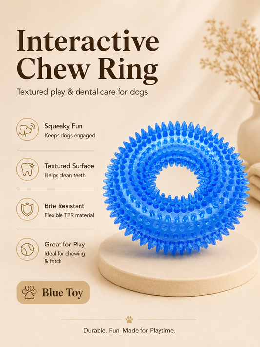 Squeaky Dog Chew Toy